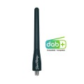 Antenna Evo Rubber 10,5 cm gomma nera