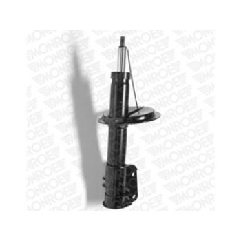 SHOCKS & STRUTS