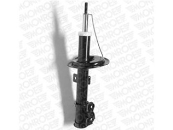 SHOCKS & STRUTS