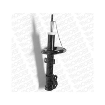 SHOCKS & STRUTS