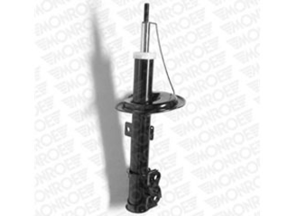 SHOCKS & STRUTS