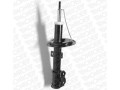 SHOCKS & STRUTS