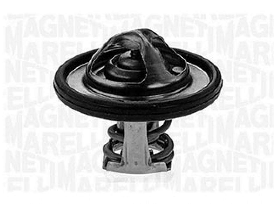 Thermostat FORD FIESTA VI 1.25